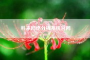 科来网络分析系统尊龙凯时平台入口官网(我家电视连网的看不了了，出现网络异常请检查网络900是怎么回事)