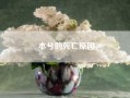 本兮的死亡原因(女歌手本兮6年前自杀，死因疑点重重，真的是抑郁症的原因吗)