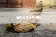 悟歌词刘德华解释--悟歌词什么意思?