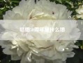 结婚50周年是什么婚~结婚50周年属于什么婚？