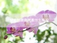 安全帽颜色代表什么身份(安全帽颜色哪个级别高)