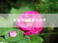 长城电脑股票怎么样,131217 长城电脑 股票有何利好消息，突然来了个涨停？ 有些不解！是重组？还是公司有重大变故？不得而知？