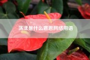 荡漾是什么意思网络用语（“荡漾”是什么意思）