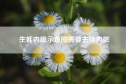 生蚝内脏示意图需要去除内脏　吃生蚝要去掉什么部位图解?