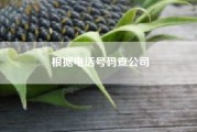 根据电话号码查公司；怎么查电话号码是哪个单位?