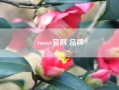 russet尊龙凯时平台入口官网 品牌,说一些颜色的英语?越多越好!?