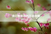 澳白和拿铁的区别图解？拿铁和澳白有什么区别？