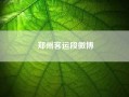 郑州客运段微博(g1669是哪个客运段担当的)