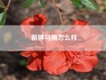 箭牌马桶怎么样—箭牌马桶的型号推荐?