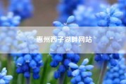 惠州西子湖畔网站~西子湖畔怎么注册？在那个网页上注册