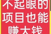 零投入，可以赚钱的项目有哪些？有没有推荐？