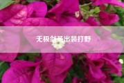 无极剑圣出装打野;lols7赛季无极剑圣出什么装备