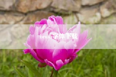 brush字体下载！brush的复数形式？