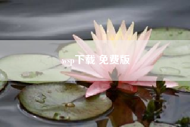 wsp下载 免费版（wsp是什么）