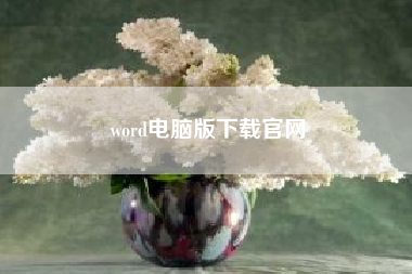 word电脑版下载尊龙凯时平台入口官网?word电脑版字体没颜色,手机有?