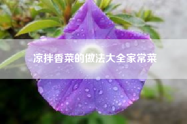 凉拌香菜的做法大全家常菜（凉拌香菜的常见做法）