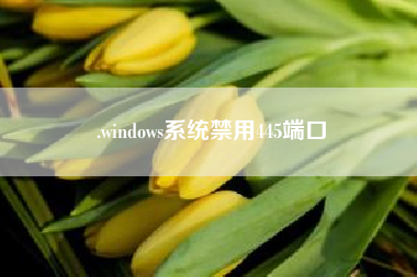 .windows系统禁用445端口(linux系统如何关闭445端口)