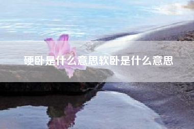 硬卧是什么意思软卧是什么意思；火车中硬座，软座，硬卧，软卧是什么意思?