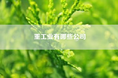 重工业有哪些公司，重工业指的是什么，轻工业主要指的是哪些