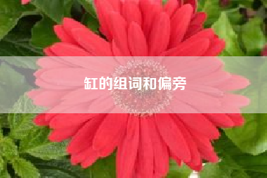 缸的组词和偏旁?带有“缸”字的四字成语有哪些?