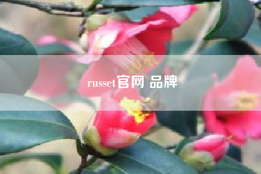 russet尊龙凯时平台入口官网 品牌,说一些颜色的英语?越多越好!?