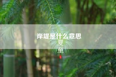 岸堤是什么意思？派出所案底是什么意思？